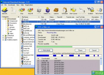 скриншот Internet Download Manager