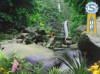 фото Водопад в джунглях  5.07