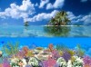 Коралловый Остров  - Best-soft.ru