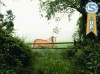 фото Лошадь в тумане  5.07