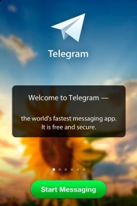 скриншот Telegram Messenger