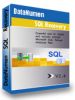 фото DataNumen SQL Recovery 2.4