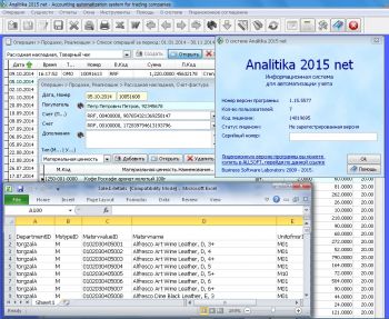 скриншот Analitika 2015