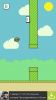 фото Mr & Mrs Flappy - Flap Bird Flap 4.1.1