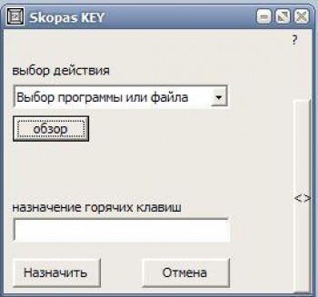 скриншот SkopasKey 