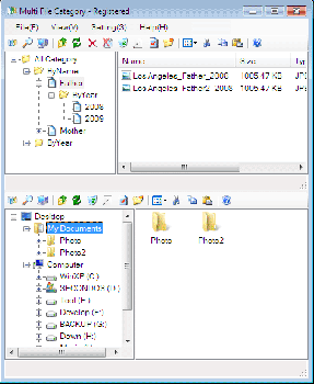 скриншот Multi File Category 