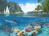 Caribbean Islands 3D Screensaver  - Best-soft.ru