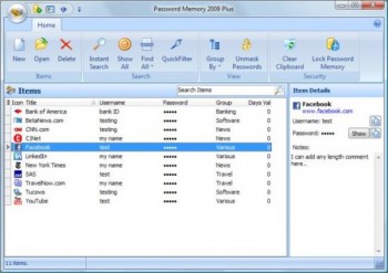 скриншот Password Memory 2010