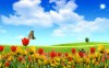 Sunflower Landscape  - Best-soft.ru