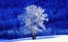 Winter  - Best-soft.ru