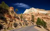 фото Desert Road 1.0