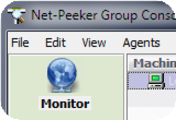 скриншот Net-Peeker Group Edition