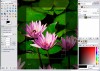 фото GIMP for Windows  2.6.6