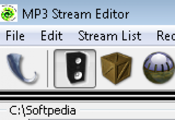 скриншот MP3 Stream Editor 